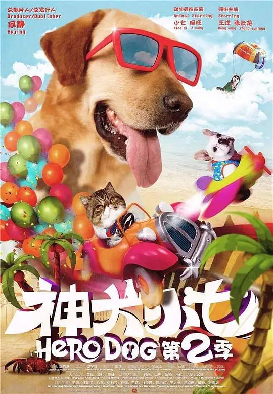 魅影直播软件下载安装,魅影直播软件下载官网